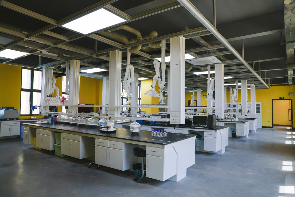 lab