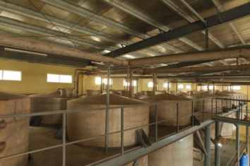 1. Sunshine Industrial Corporation Antifungal Detergent Powder