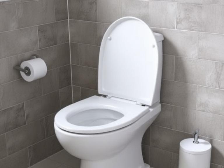 Best Toilet Bowl Cleaners for a Hygienic Bathroom